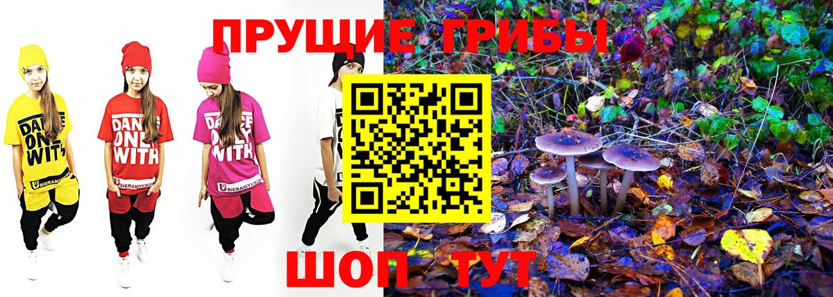 Галлюциногенные грибы мухоморы Нарьян-Мар